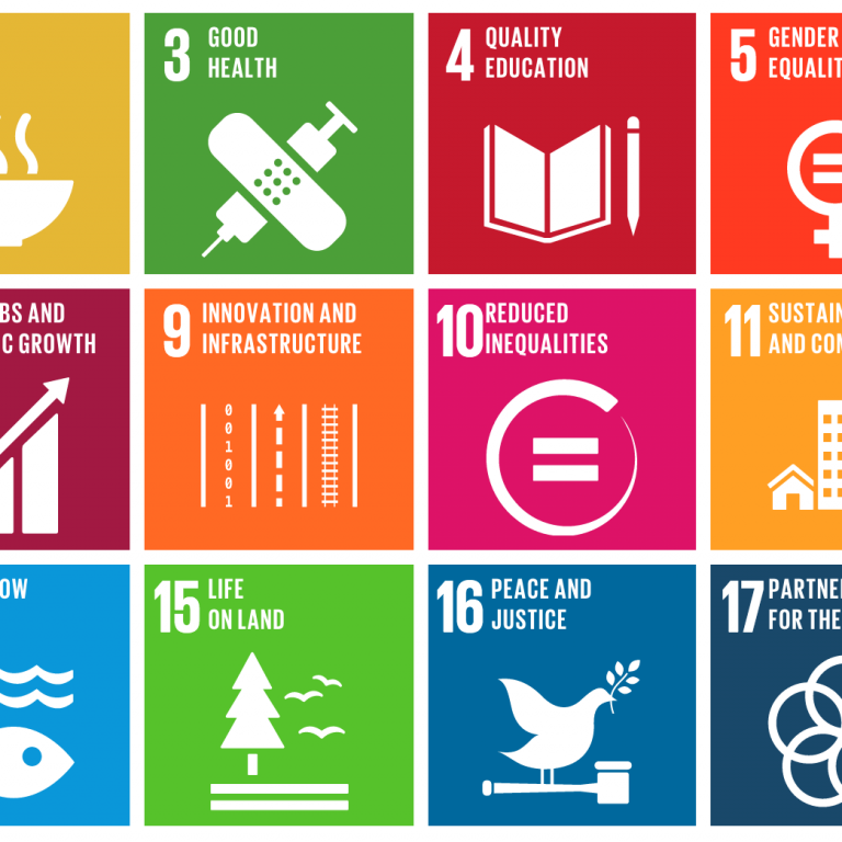 SDGs