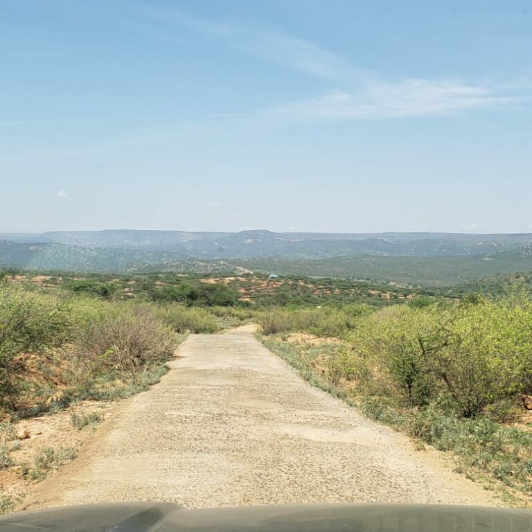 Road in Samburu County